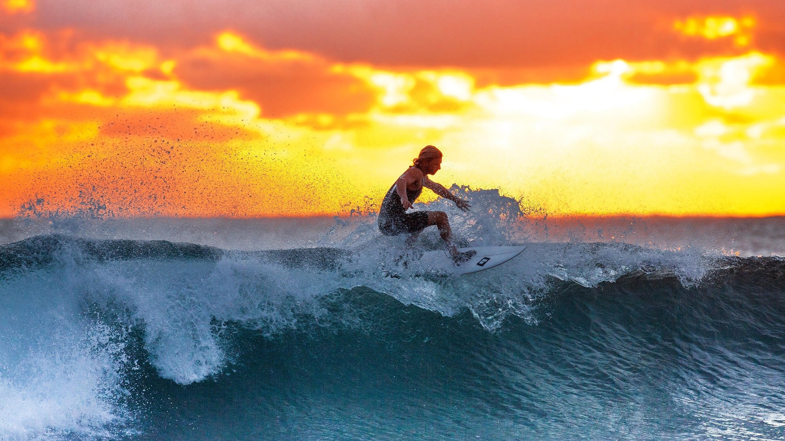 kaiyun登录-风云突变!皇家社会纪录之夜遭质疑,多伦多猛龙隔空回应